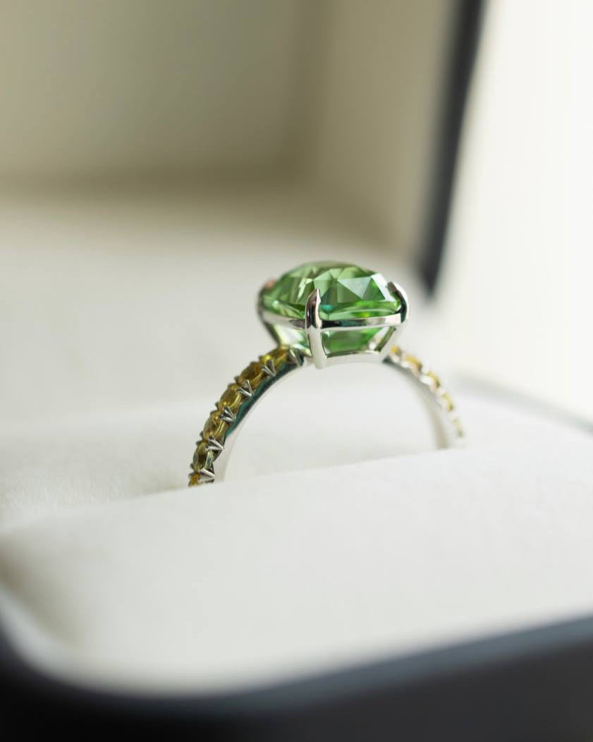 Ring A Model