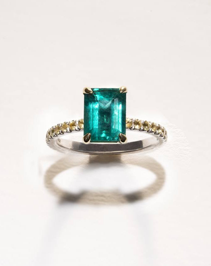 Ring A Model