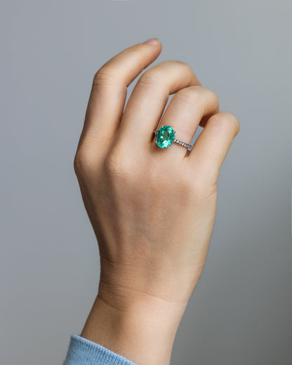 Ring A Model