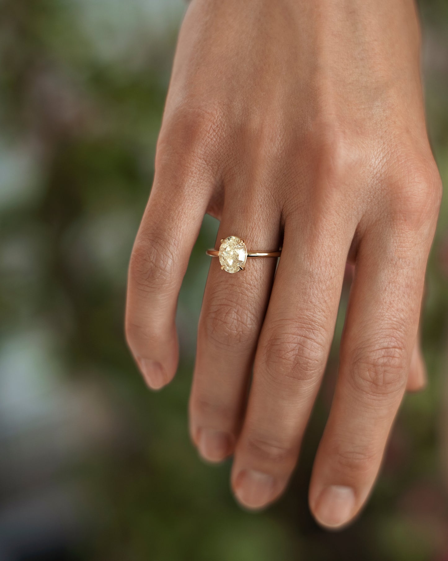 Ring F Model