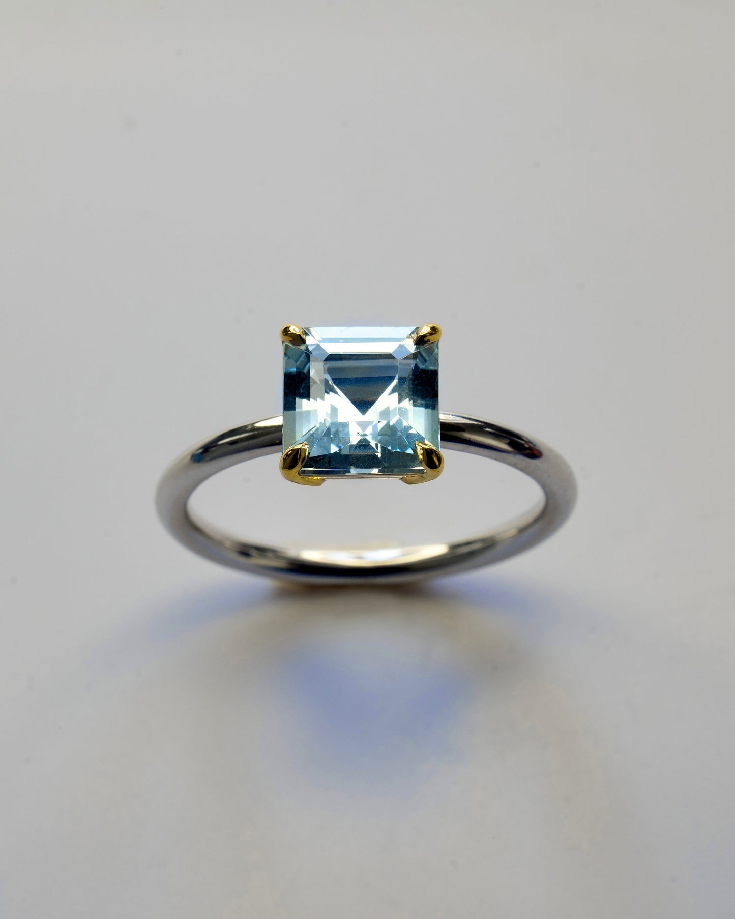Ring F Model