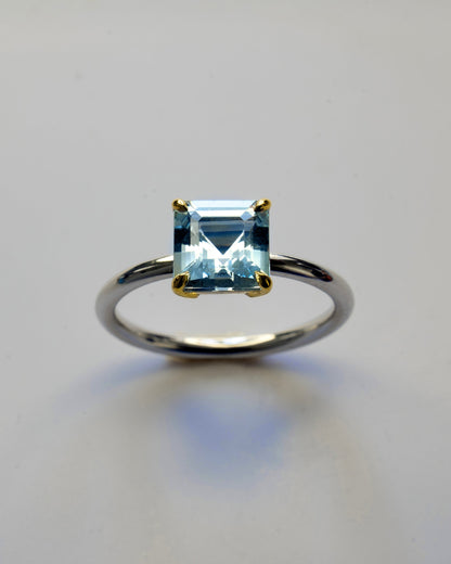 Ring F Model