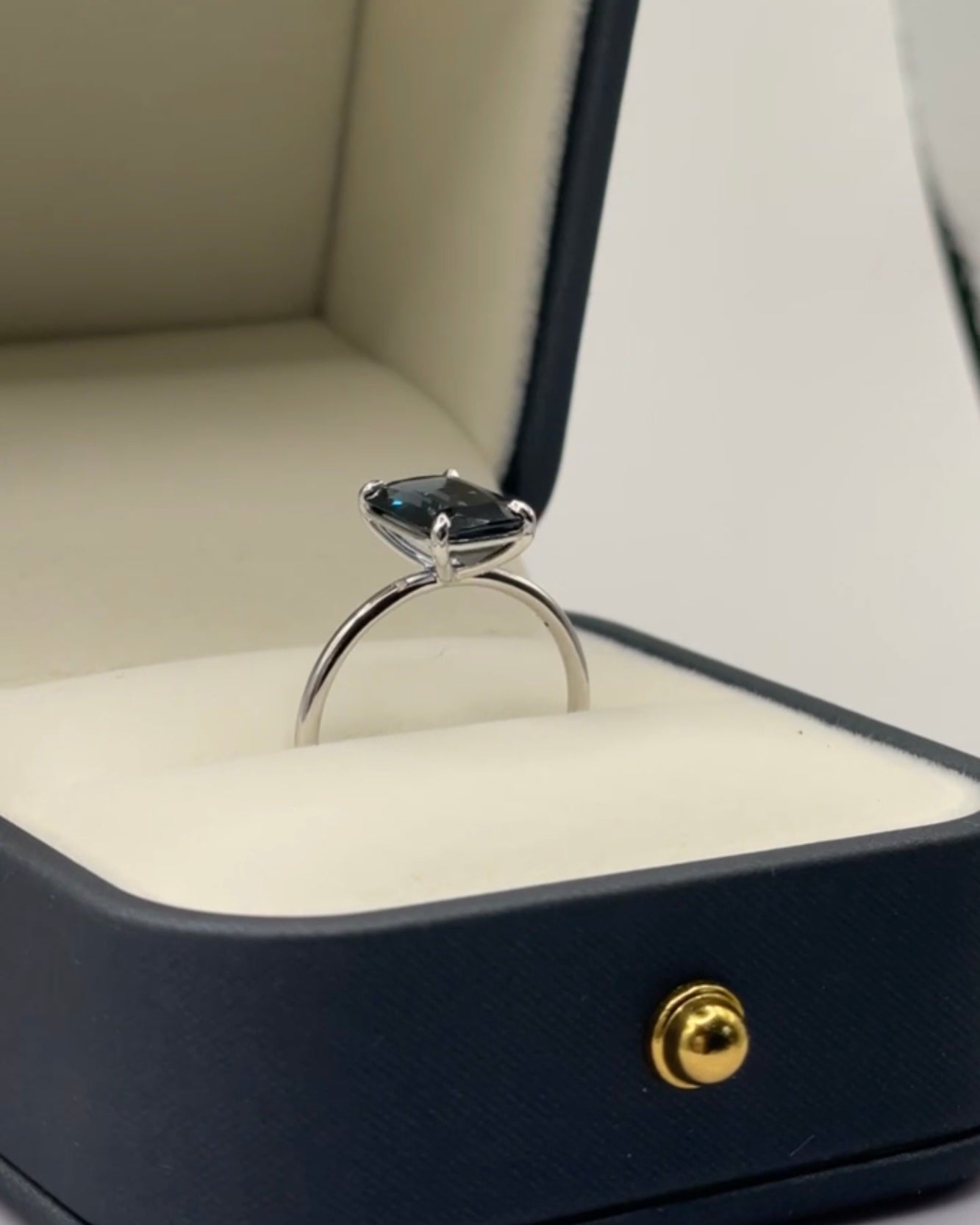 Ring F Model