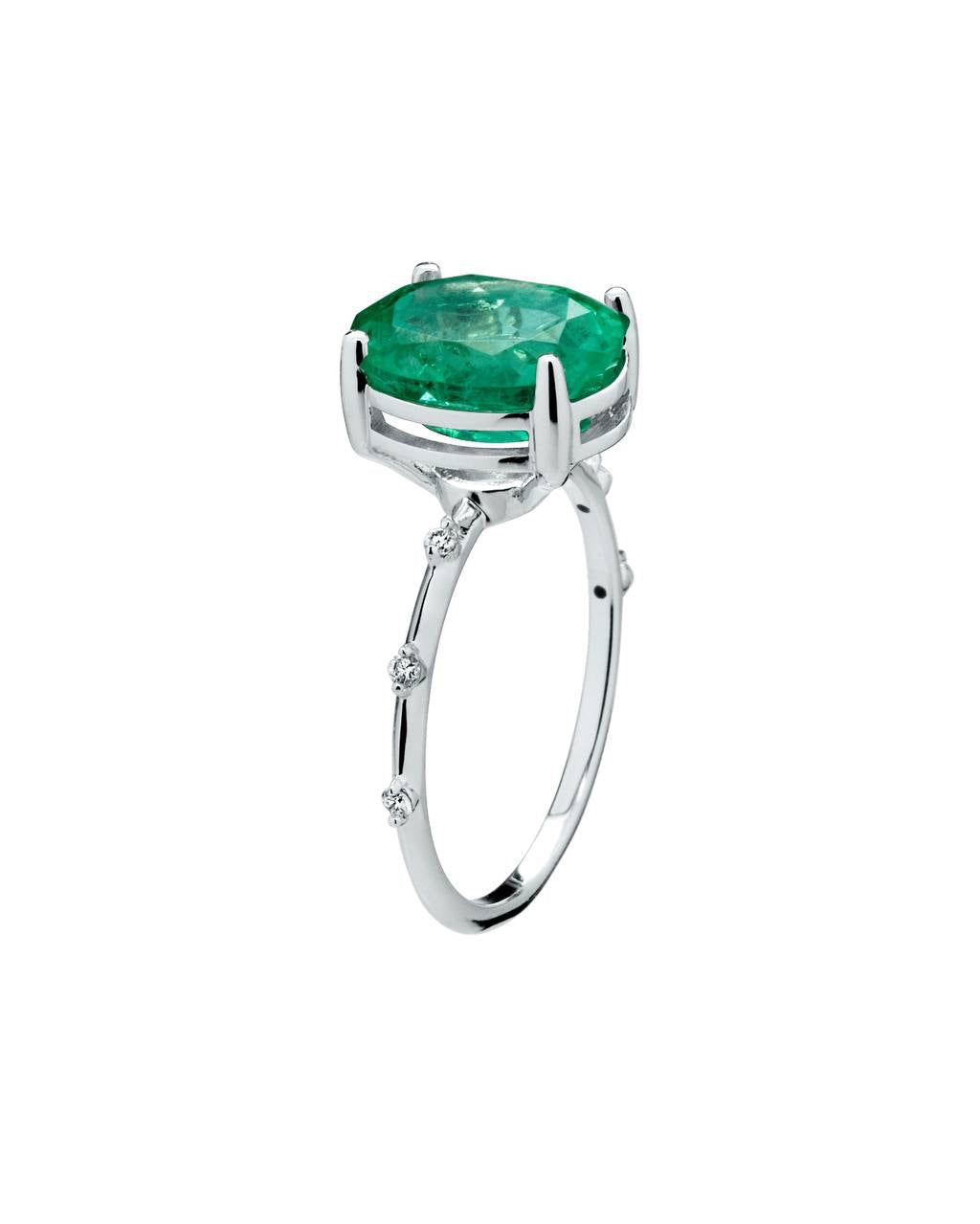 Ring L Model