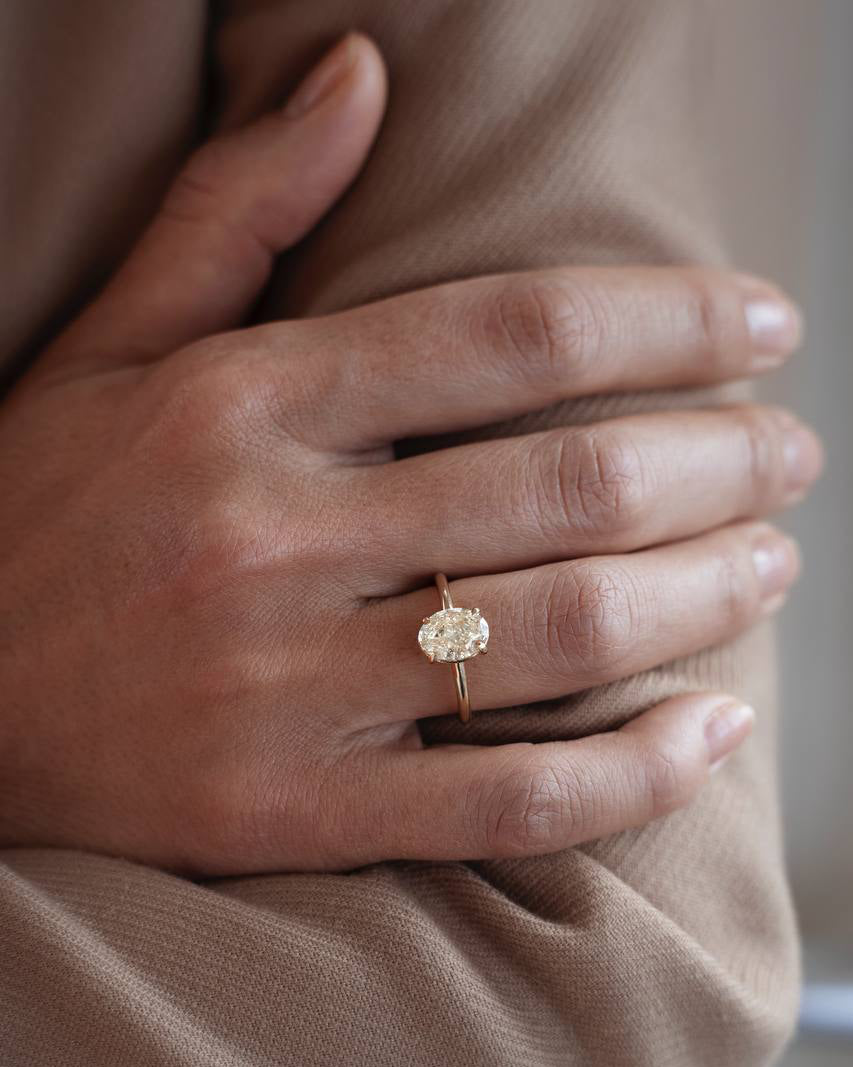 Ring F Model