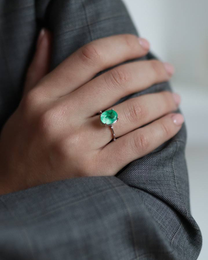 Ring L Model